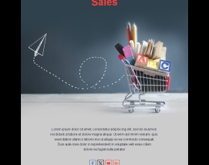 Top Sales Email Alerts