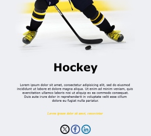 Ice Hockey Email Updates