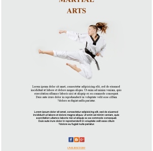 Martial Arts Energy
