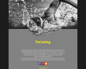 Swim Team Newsletters