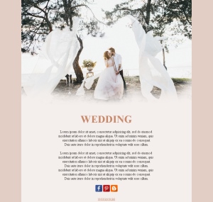 Elegant Wedding Emails