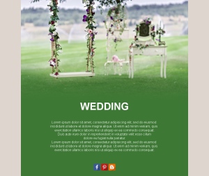 Wedding Celebration Emails