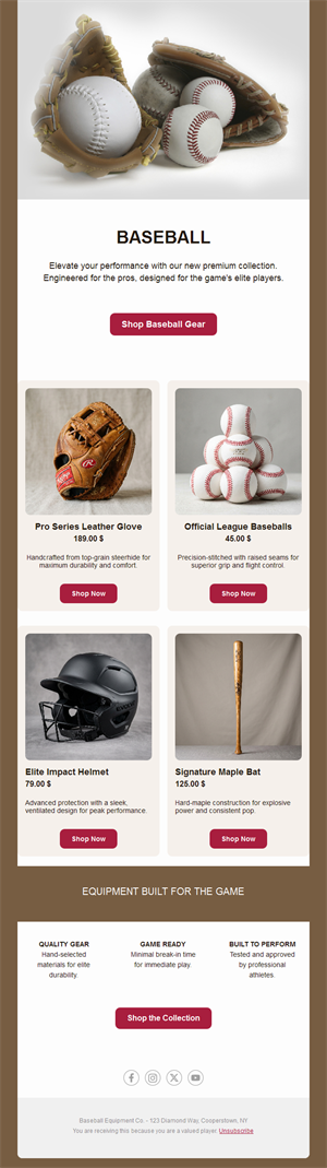 Baseball gear shop email template