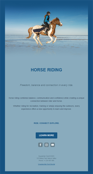 Blue horse riding email by the sea