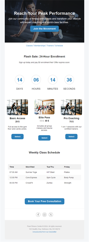 Active Lifestyle Emails