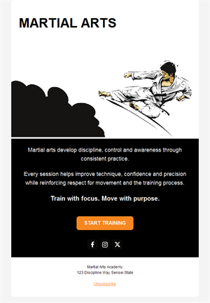 Illustrated martial arts email